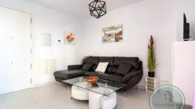 Apartment in Puerto photo 15