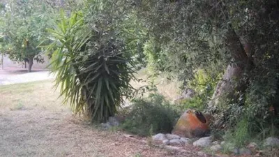 Chalet in Vilafortuny-Cap de Sant Pere photo 28