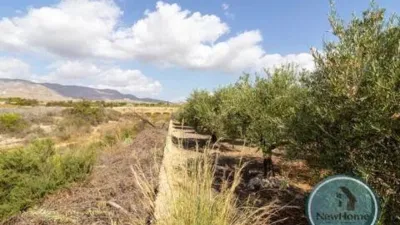 Terreno en venta en Crevillent - Vista 4