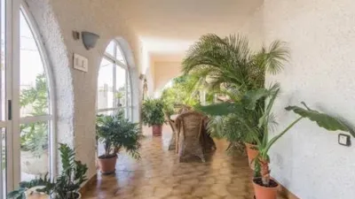 Casa – Elx - Elche - Vista 2