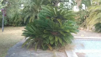 Chalet in Vilafortuny-Cap de Sant Pere photo 29