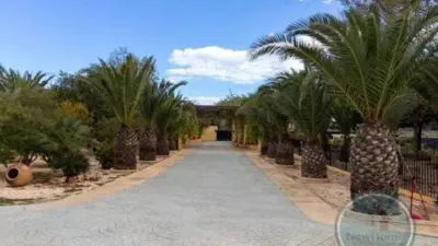 Chalet in Torrellano-Valverde-Parc Empresarial photo 96