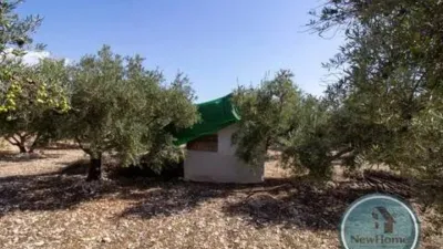 Terreno en venta en Crevillent - Vista 5