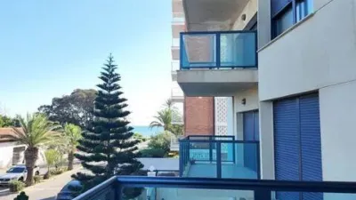 Apartment in Acequión-Los Naúfragos photo 15