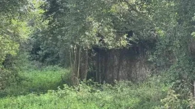 Rustic house in Rubayo photo 6