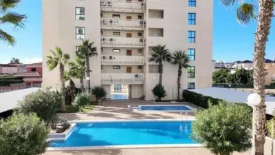 Apartment in Acequión-Los Naúfragos photo 16