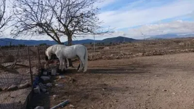 Casa – Monòver / Monóvar - Vista 4