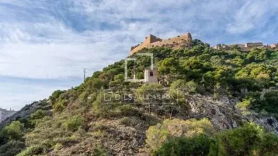 Apartment in Raval Roig photo 16