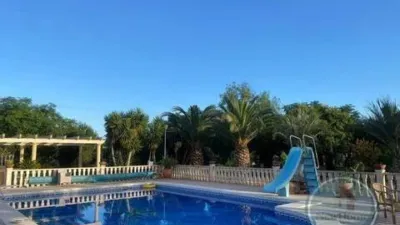 Casa – Elx - Elche - Vista 4