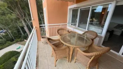Apartment in Peguera photo 58