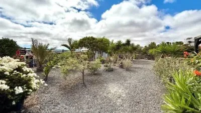 Chalet in La Oliva photo 36