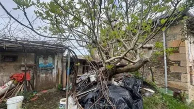 Rustic house in Plentzia photo 18