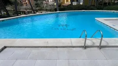 Apartment in Peguera photo 44