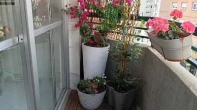 Apartment in Ciudad Jardín-Tagarete-Zapillo photo 11