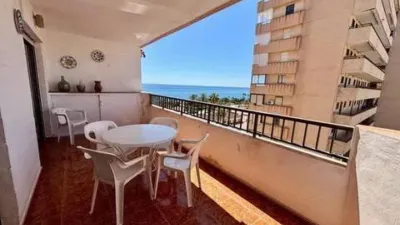 Pis – Torrevieja - Vista 3