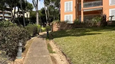 Apartment in Peguera photo 50