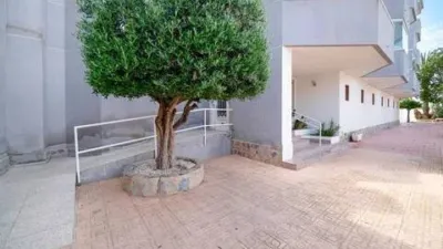 Apartment in Orihuela Costa photo 17