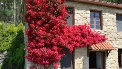 Rustic house in Barrio (Vilarmaior) photo 28