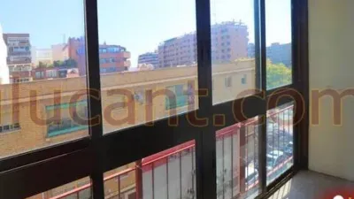 Apartment in Benalúa photo 8