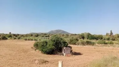 Rustic house in Búger photo 8