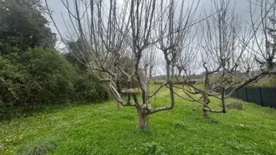 Rustic house in Plentzia photo 14