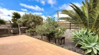 Chalet in La Oliva photo 38