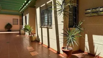 Apartment in Racó de l'Oix photo 19