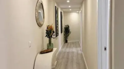 Apartment on Calle Rodeo photo 13