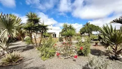 Chalet in La Oliva photo 32
