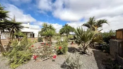 Chalet in La Oliva photo 33