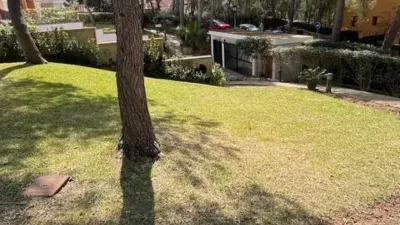 Apartment in Peguera photo 49