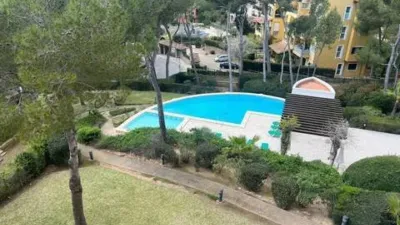 Apartment in Peguera photo 45