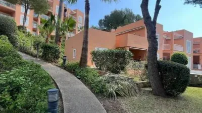 Apartment in Peguera photo 48