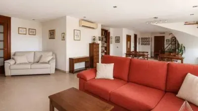 Chalet en Los Ángeles-Jarandilla photo 4