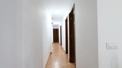 Chalet in Prado del Rey photo 14