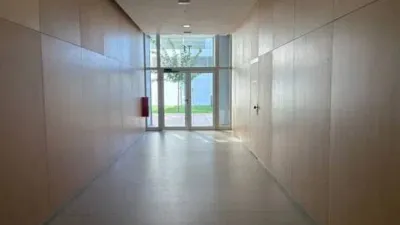 Apartment on Avinguda de l'Actor Antonio Ferrandis photo 8