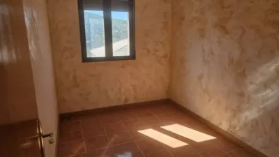 Apartment in Pastrana photo 4