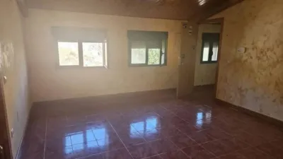 Apartment in Pastrana photo 7
