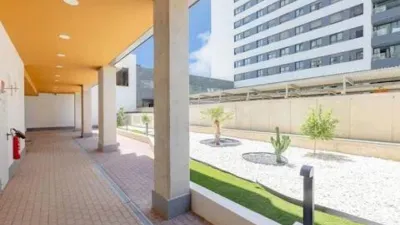 Apartment on Avenida Fernando Abril Martorell photo 67
