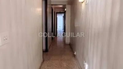 Apartment in Son Cotoner photo 14