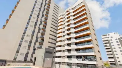 Apartment on Avenida Fernando Abril Martorell photo 26