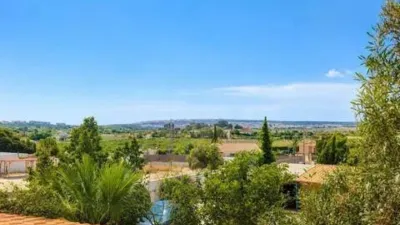 Chalet in Torrellano-Valverde-Parc Empresarial photo 18
