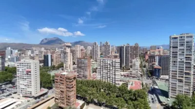 Apartment in Benidorm photo 15