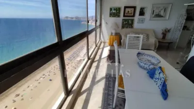 Apartment in Benidorm photo 6