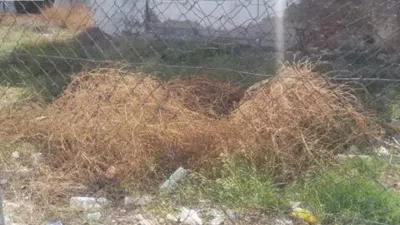 Terreno en venta en Núcleo Urbano - Vista 4