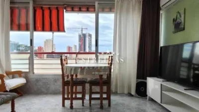 Apartment in Benidorm photo 11