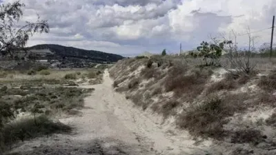 Terreno en venta en Orihuela Pedanías - Vista 5