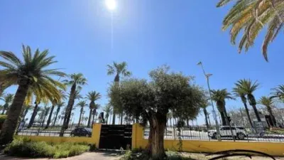 Chalet on Paseo de Jaume I, 3 photo 8