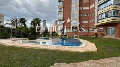 Apartment in Benidorm photo 45