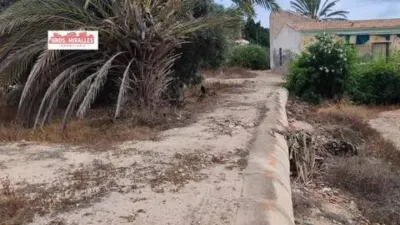 Piso – Elx / Elche, Regs del Porvenir, la Marina - Vista 4